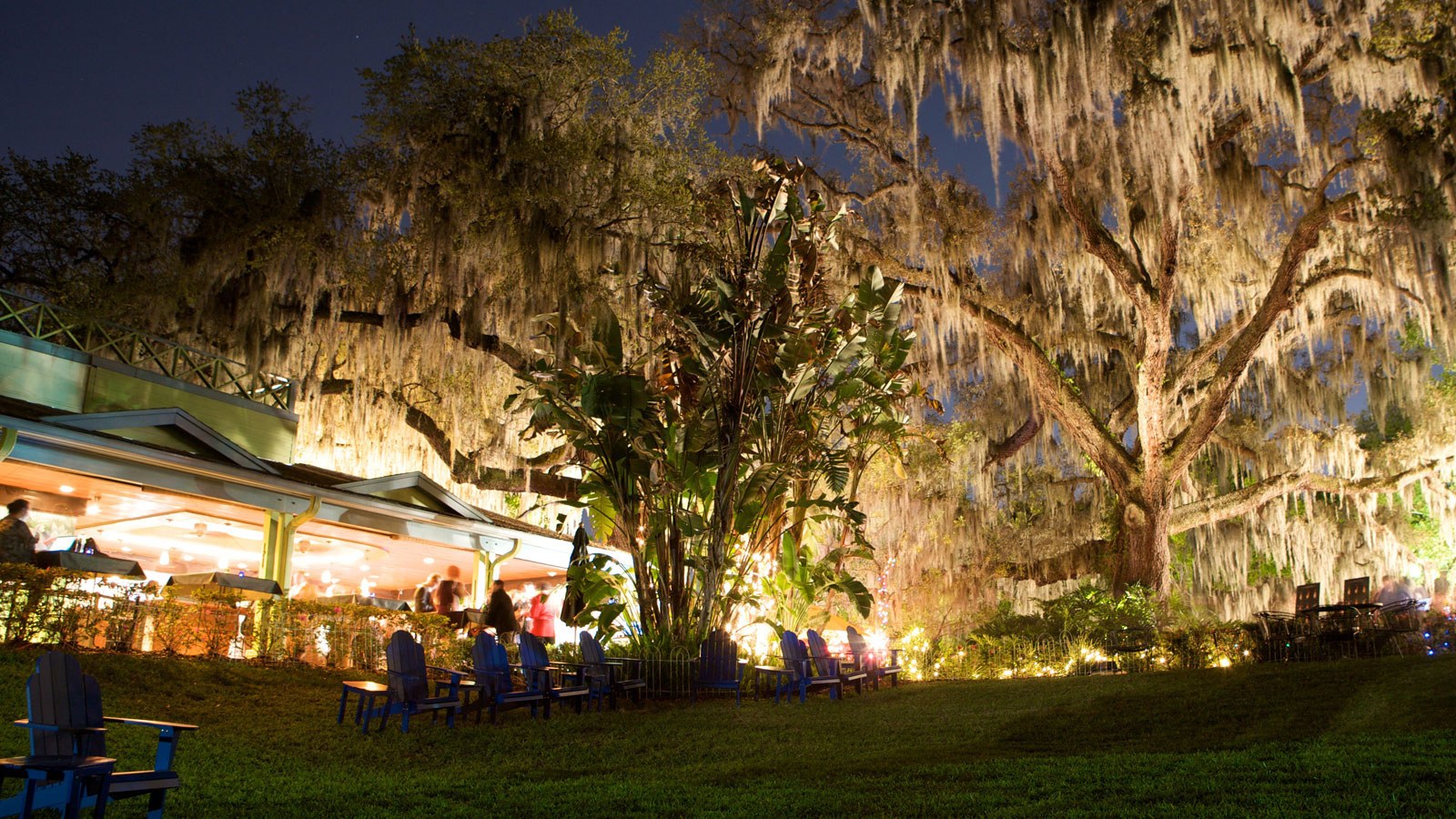 Alumni Projects Featured at 2014 Florida Film Festival - Hero image
