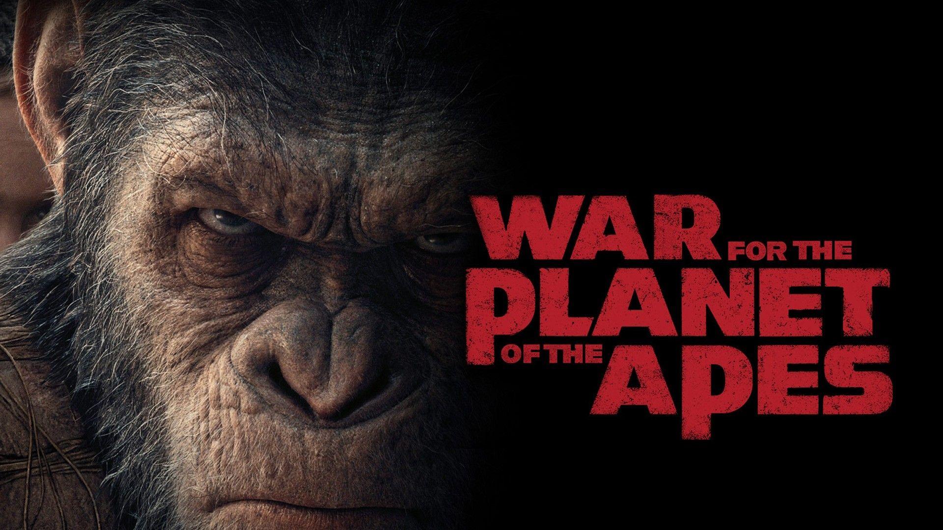 Ape Wrangler: Instructor, Larry Katz, on Working with Andy Serkis - Hero image