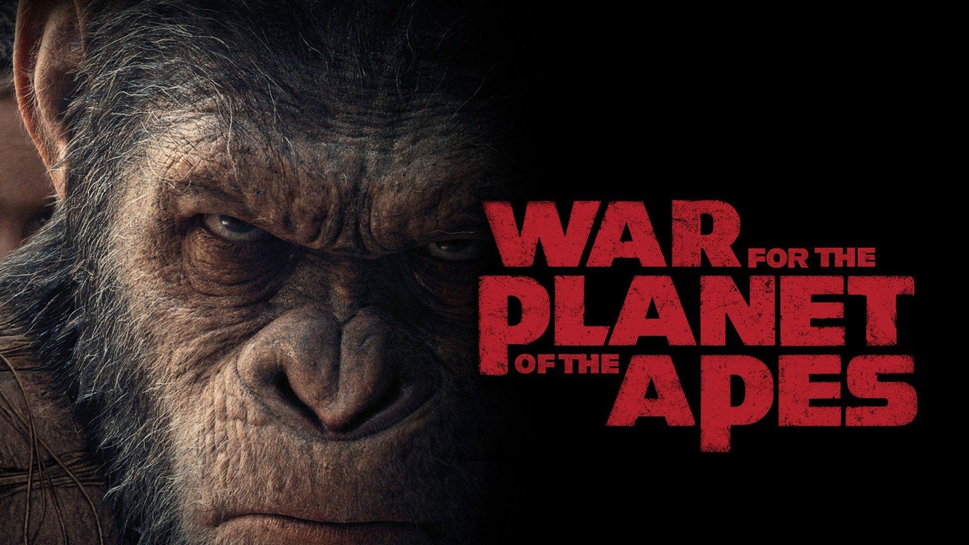 Ape Wrangler: Instructor, Larry Katz, on Working with Andy Serkis - Hero image 